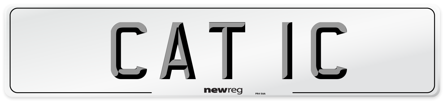 CAT 1C Number Plate from New Reg